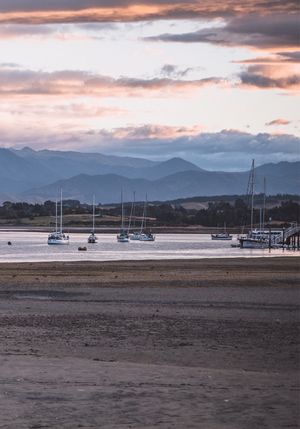 Mapua Wharf